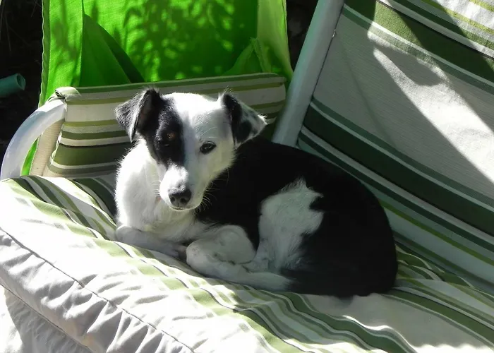 E Apt. Silvia By Agenzia Solturelba * Capoliveri (Isola d'Elba)