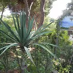 E Apt. Silvia By Agenzia Solturelba Feriehus Capoliveri (Isola d'Elba)