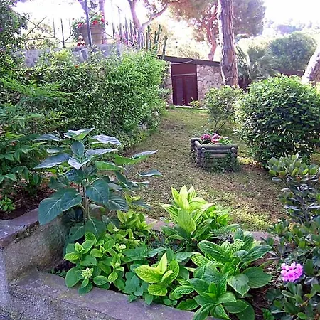 Casa de Férias E Apt. Silvia By Agenzia Solturelba Capoliveri (Isola d'Elba)