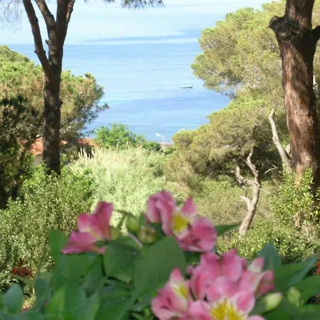 E Apt. Silvia By Agenzia Solturelba Semesterbostad Capoliveri (Isola d'Elba)