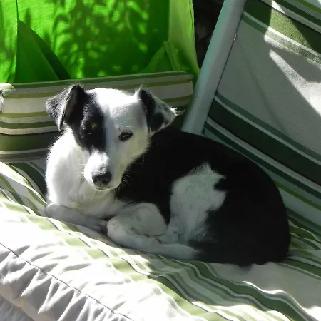 E Apt. Silvia By Agenzia Solturelba * Capoliveri (Isola d'Elba)