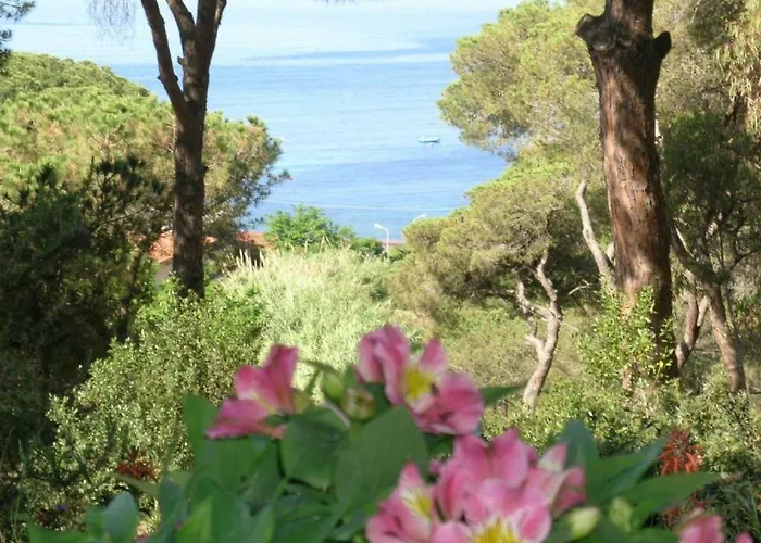 E Apt. Silvia By Agenzia Solturelba Feriehus Capoliveri (Isola d'Elba)